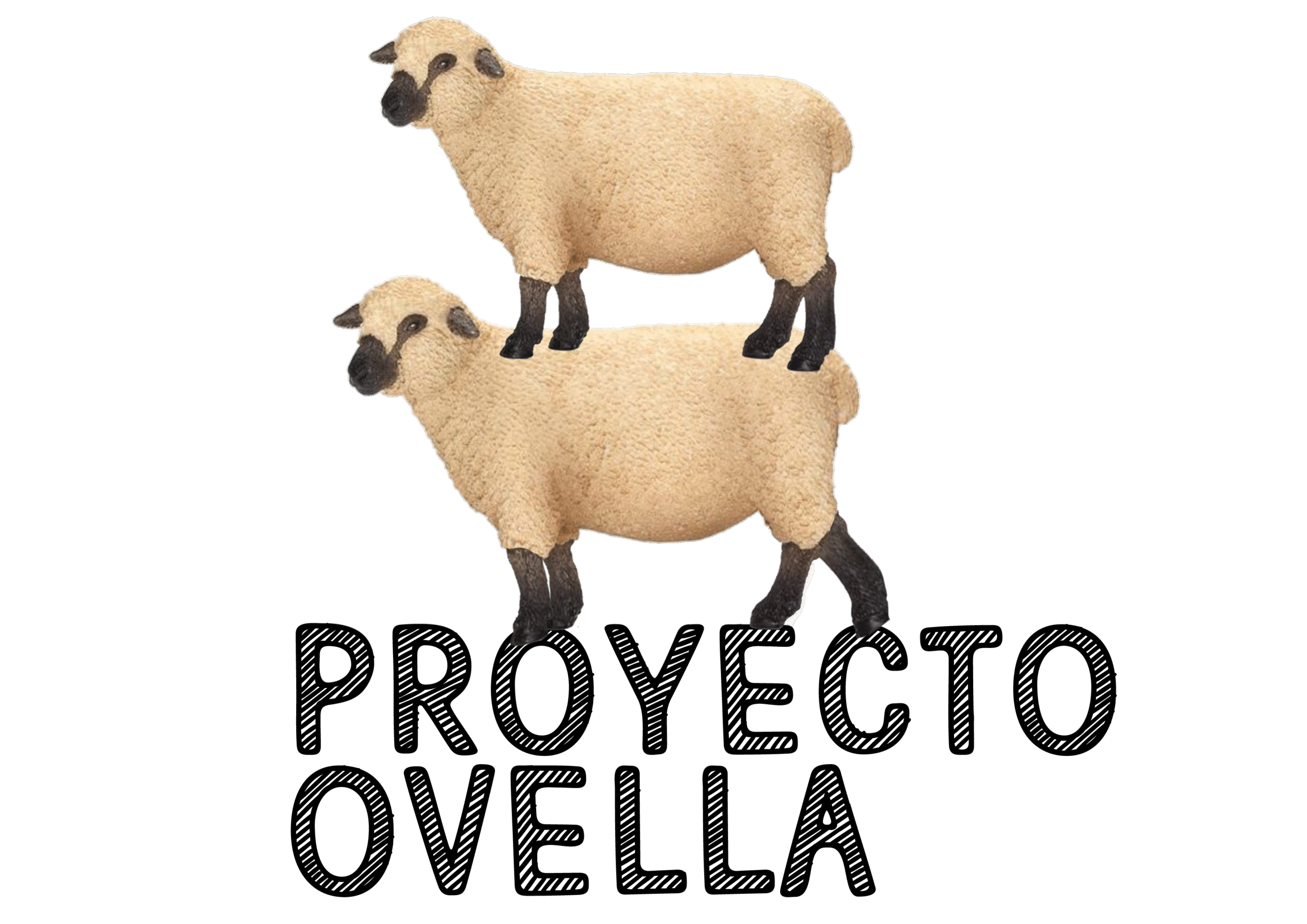 Proyecto Ovella